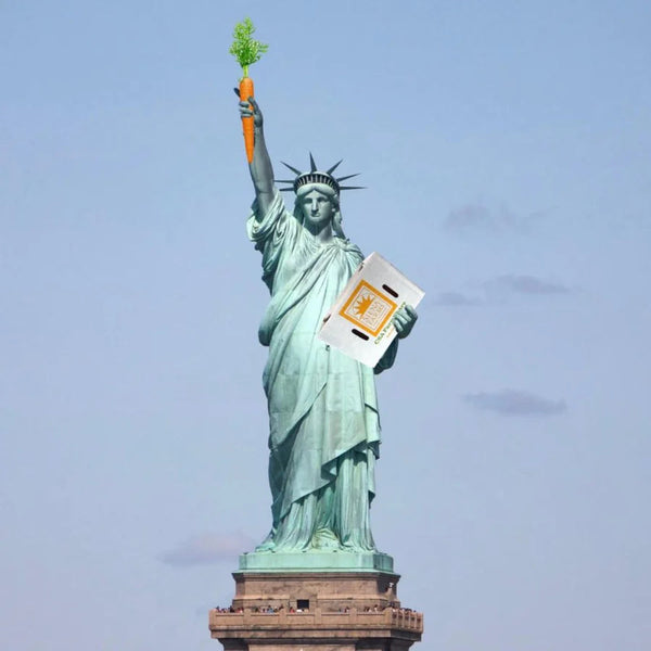 2026 New York City Farm Shares