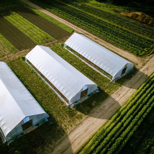 Three-Year Farm Shares