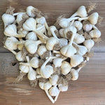 Load image into Gallery viewer, NYC Bumper Box o&#39; Garlic
