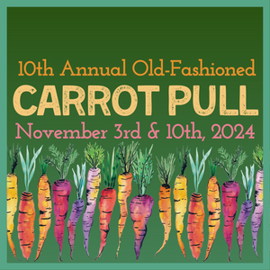 10th Annual Old-Fashioned Carrot Pull