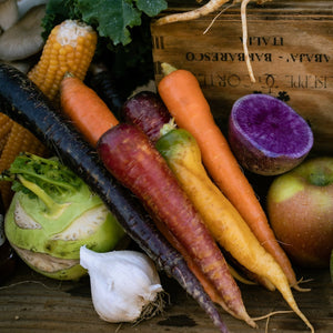 NYC 2024 Winter Pantry Farm Share