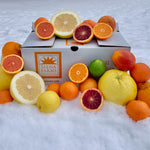 Load image into Gallery viewer, NYC Winter Citrus Share
