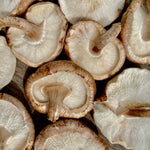 Load image into Gallery viewer, 2024 Autumn Mushroom Lover&#39;s Share
