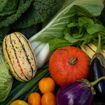 Load image into Gallery viewer, 2024 Autumn Vegetable Farm Share
