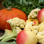 Load image into Gallery viewer, 2024 Autumn Kids&#39; Farm Share
