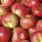 Load image into Gallery viewer, 2026 Autumn Apple Share
