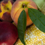 Load image into Gallery viewer, NYC 2024 Sweet Corn &amp; Fruit Share
