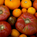 Load image into Gallery viewer, 2024 Tomato Lover&#39;s Share
