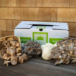 Load image into Gallery viewer, 2026 Autumn Mushroom Lover&#39;s Share
