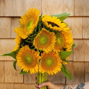 2023 Sunflower Share