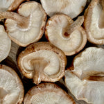 Load image into Gallery viewer, 2025 Winter Mushroom Lover&#39;s Share
