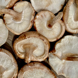 2025 Winter Mushroom Lover's Share