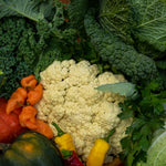 Load image into Gallery viewer, 2026 Autumn Vegetable Farm Share
