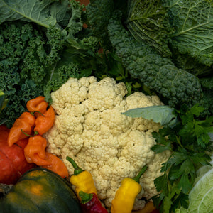 2026 Autumn Vegetable Farm Share