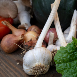 2026 Autumn Vegetable Farm Share
