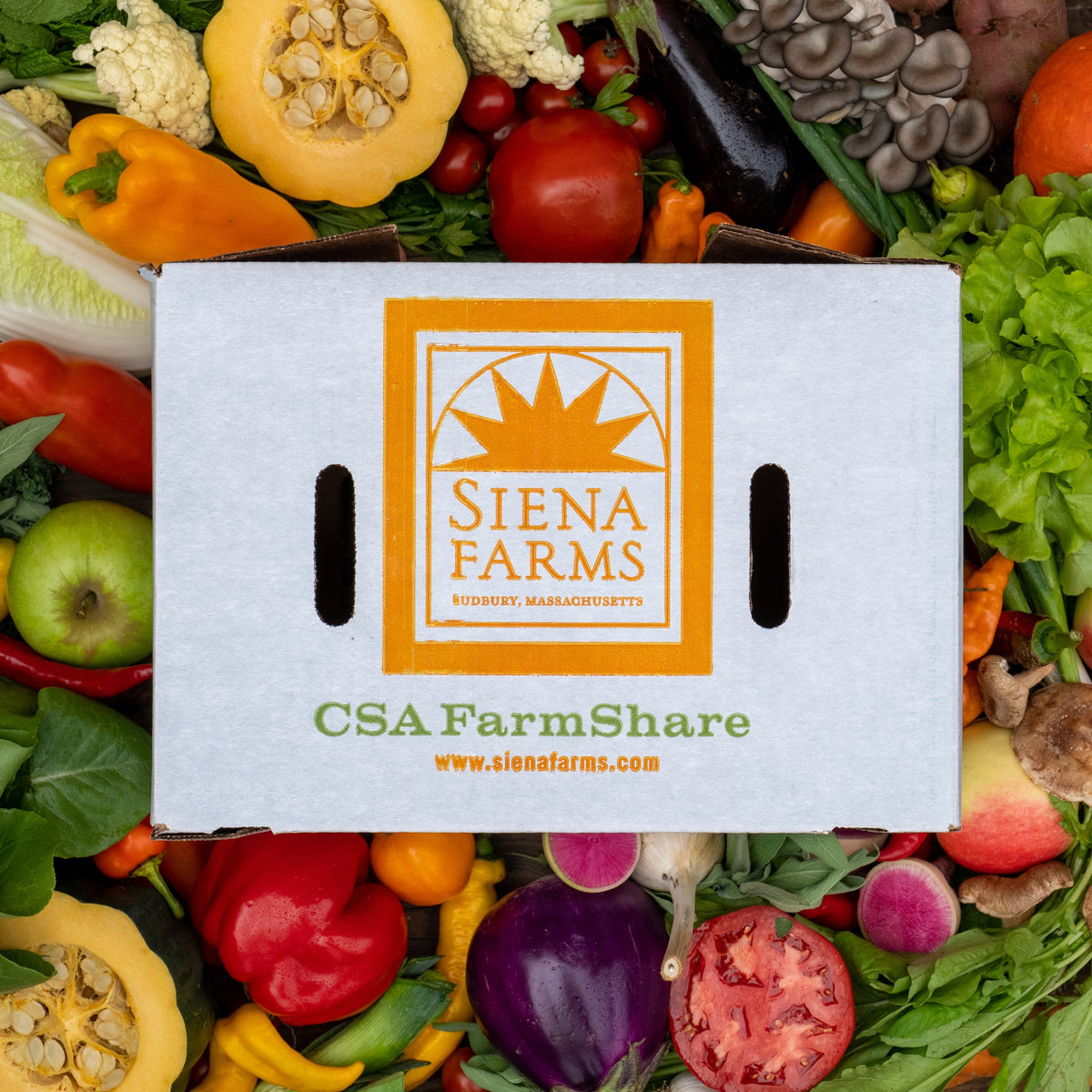 Siena Farms CSA Peak-Season Farm Share