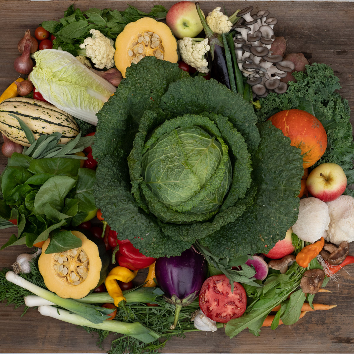 CSA: 2026 Four-Season Farm Share
