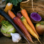 Load image into Gallery viewer, NYC 2023 Winter Pantry Farm Share
